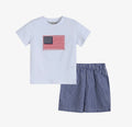 Royal Blue American Flag Set